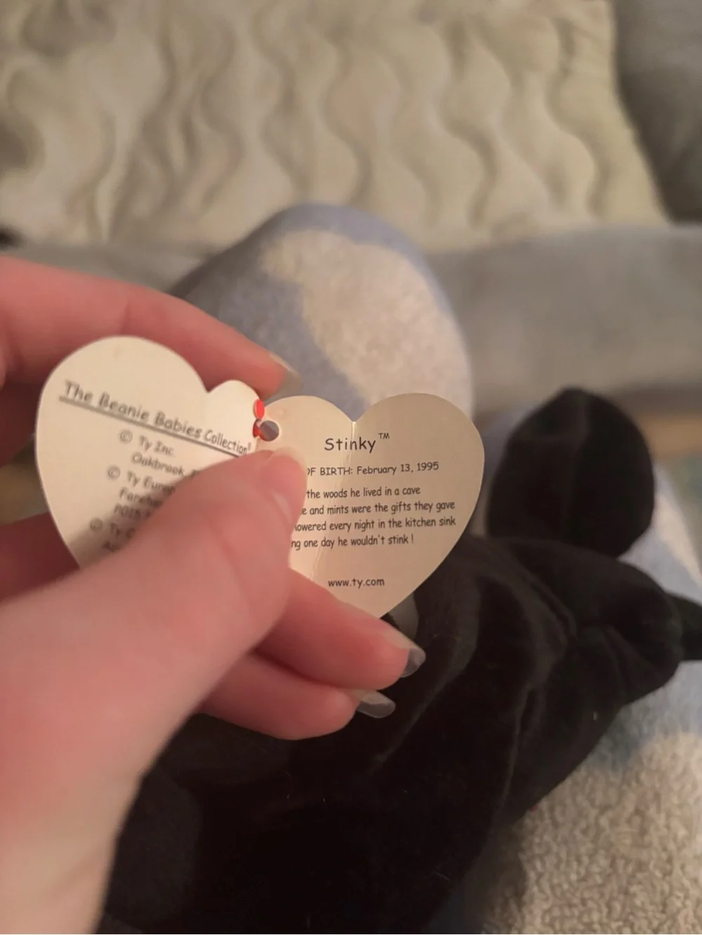 TY Skunk Stinky beanie baby